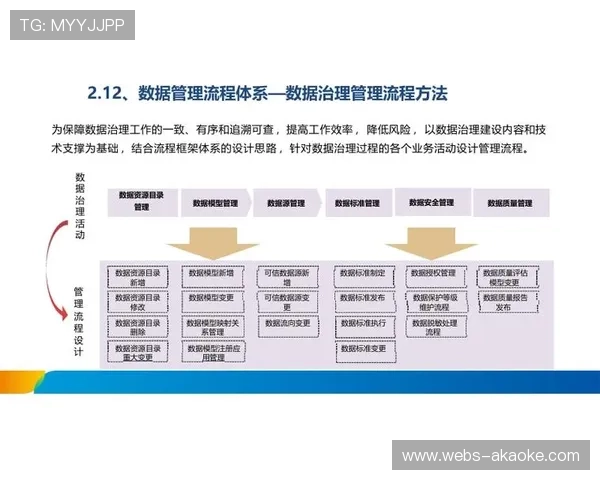 数据治理框架规范元数据定义提升分析价值与一致性。